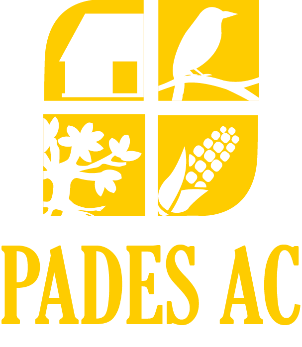 Logo PADES